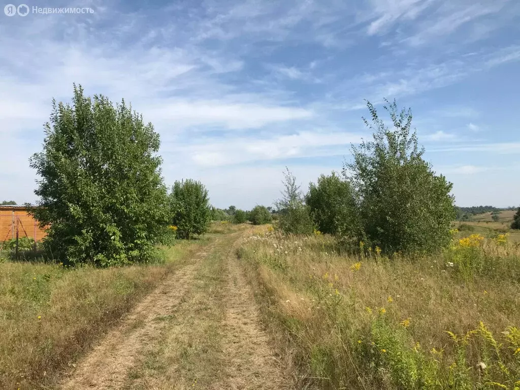 Участок в Заокский район, сельское поселение Демидовское, деревня ... - Фото 0
