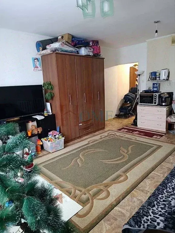 Студия Новосибирская область, Новосибирск ул. Татьяны Снежиной, 31/1 ... - Фото 2