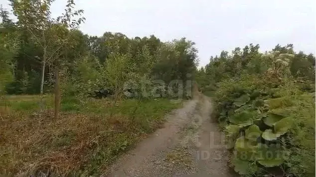Участок в Сахалинская область, Долинский городской округ, с. Сокол, ... - Фото 1