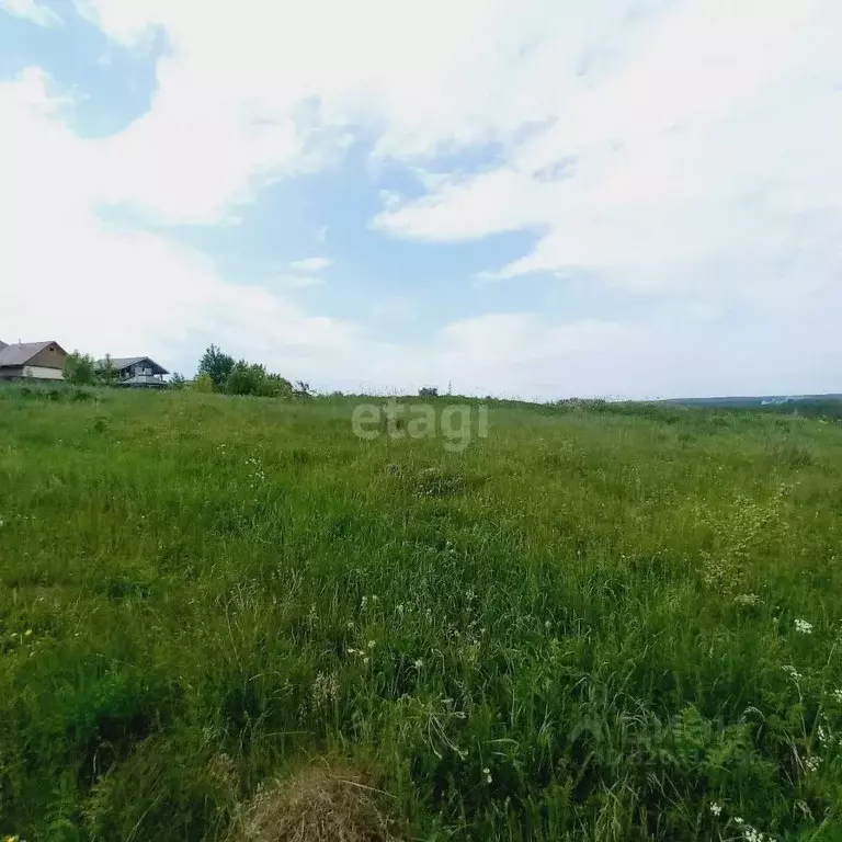 Участок в Калужская область, Калуга городской округ, с. Росва ул. ... - Фото 2