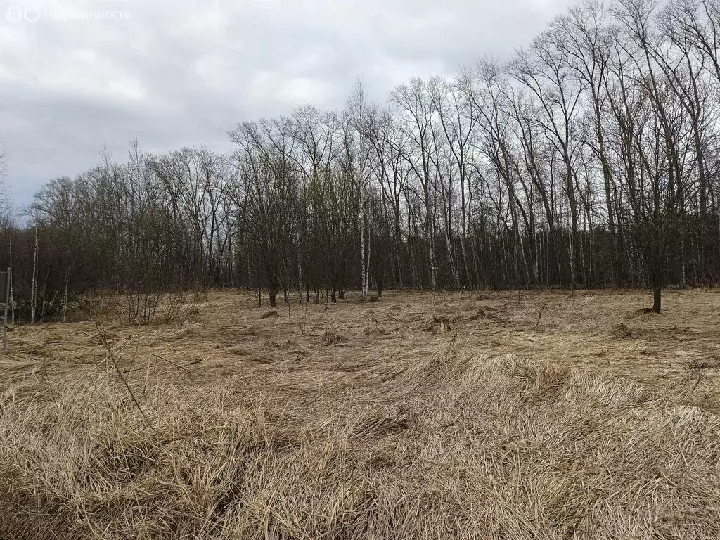 Участок в Раменский городской округ, территориальное управление ... - Фото 1