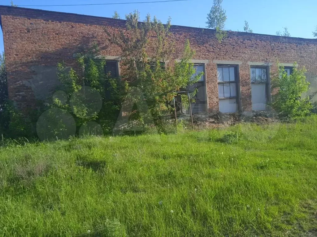 Участок 13 сот. (СНТ, ДНП) - Фото 0