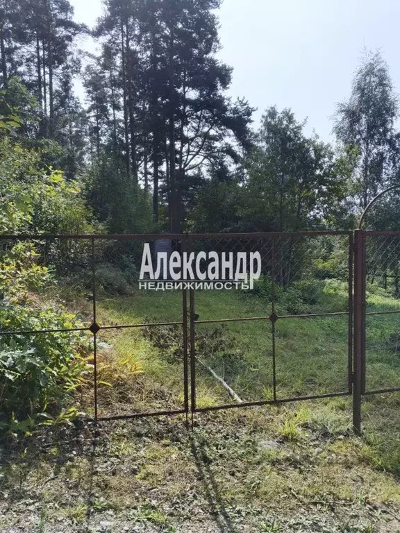Участок в Ленинградская область, Выборгский район, Советское городское ... - Фото 2
