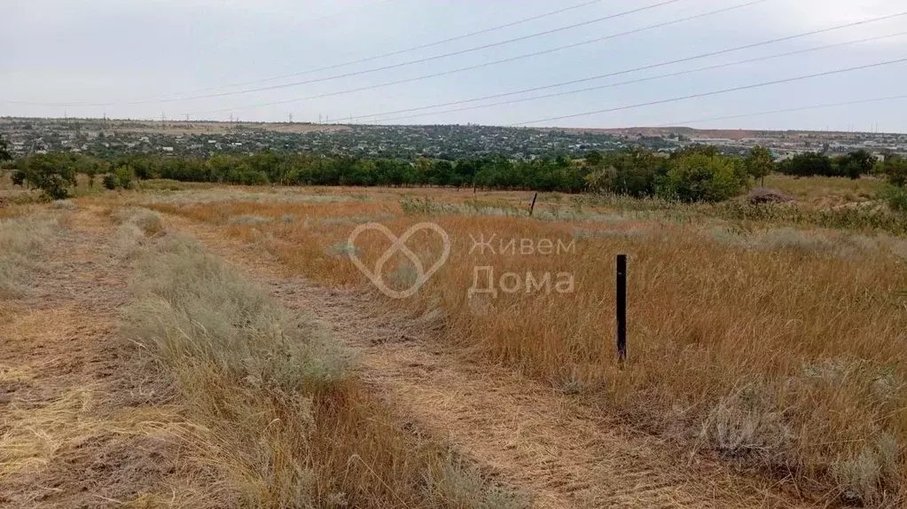 Участок в Волгоградская область, Волгоград Дружная ул. (6.06 сот.) - Фото 1
