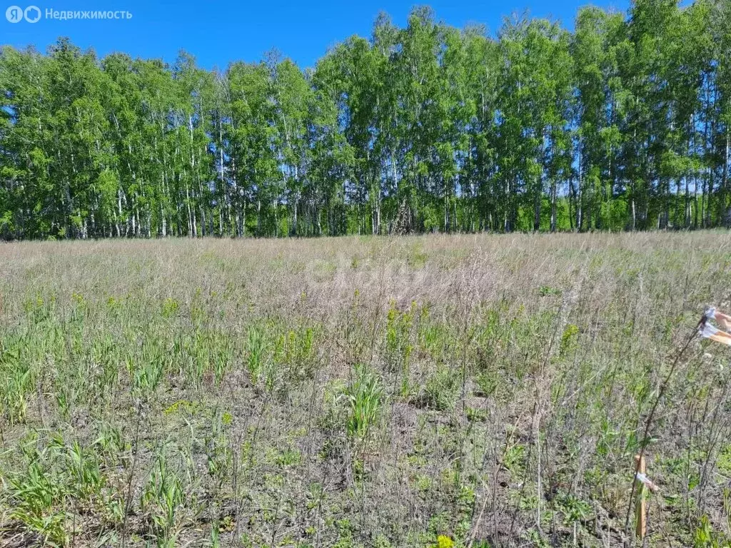 Участок в село Усть-Заостровка, 2-я Енисейская улица (15 м) - Фото 1