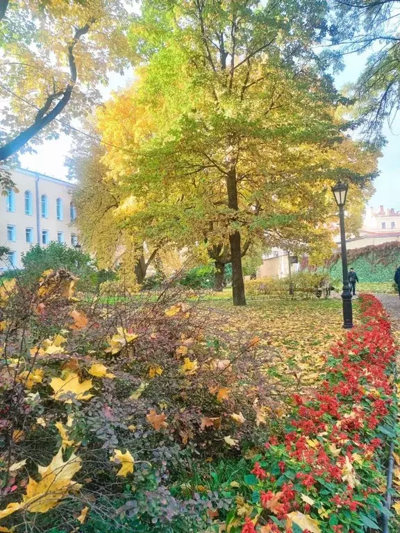 2-к кв. Рязанская область, Рязань ул. Фрунзе, 4 (70.0 м) - Фото 2