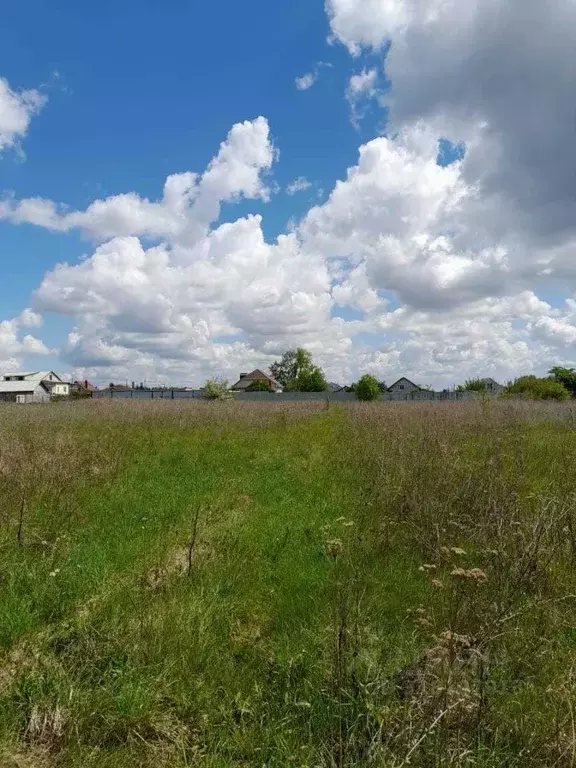 Участок в Белгородская область, Губкинский городской округ, с. Аверино ... - Фото 1