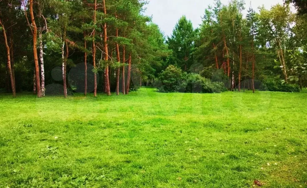 Участок 6,2 сот. (ИЖС) - Фото 0