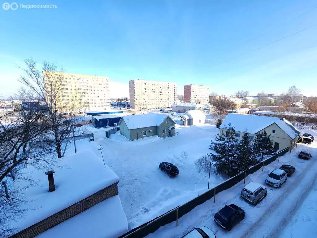 1-комнатная квартира: Великие Луки, улица Винатовского, 66 (30.9 м) - Фото 1