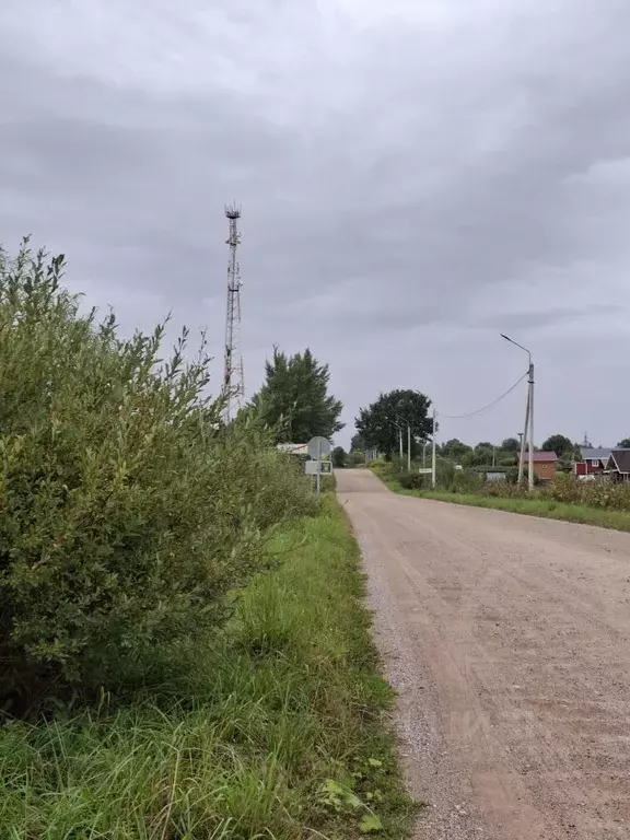 Участок в Новгородская область, Чудовский муниципальный округ, ... - Фото 2