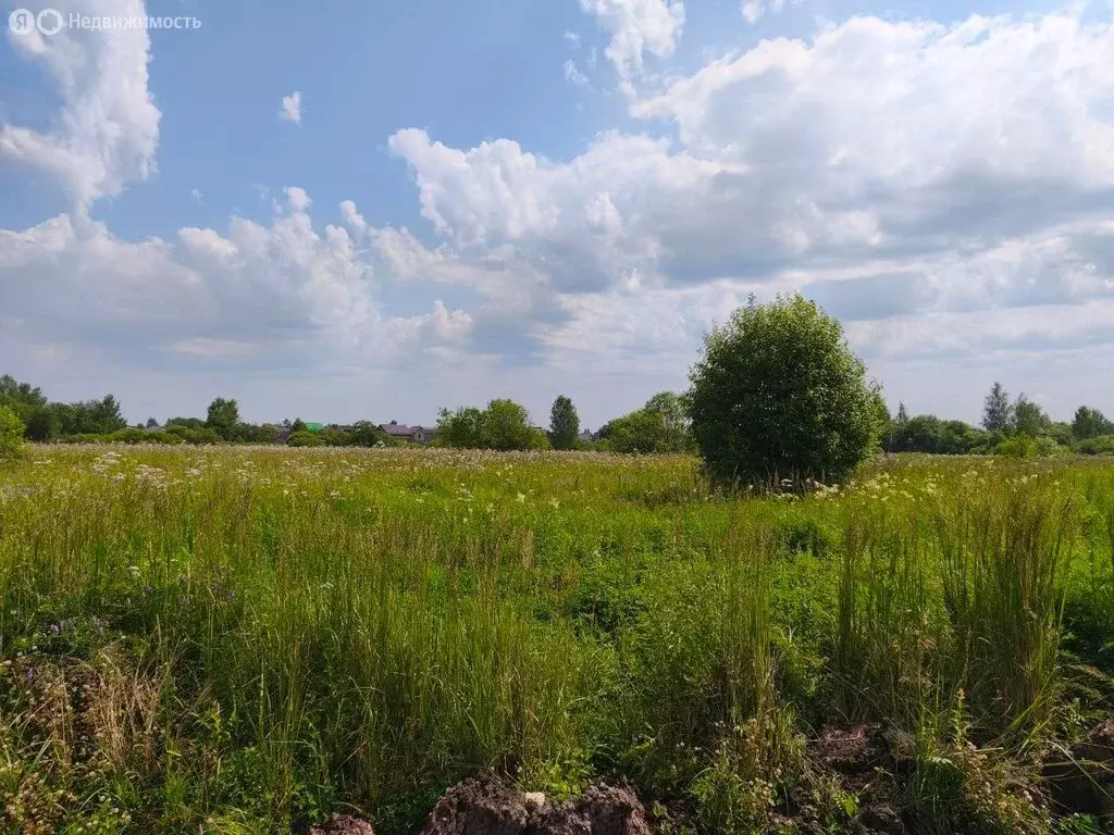 Участок в Московская область, Раменский муниципальный округ, ... - Фото 2