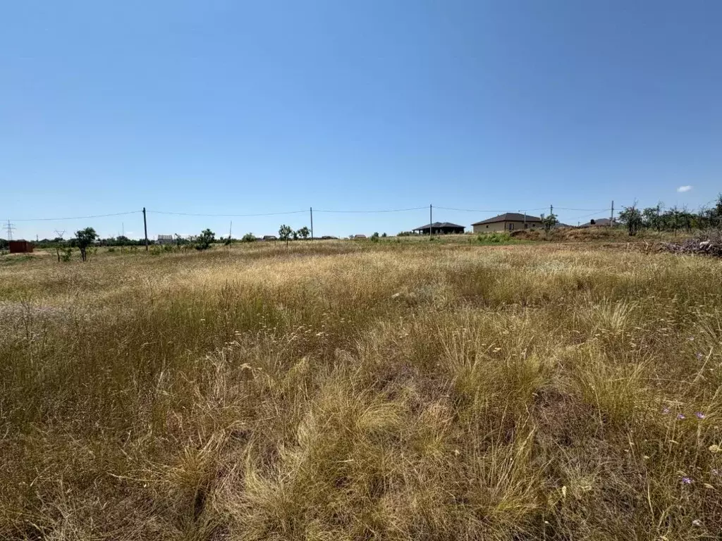 Участок в Волгоградская область, Городищенский район, Царицынское ... - Фото 1