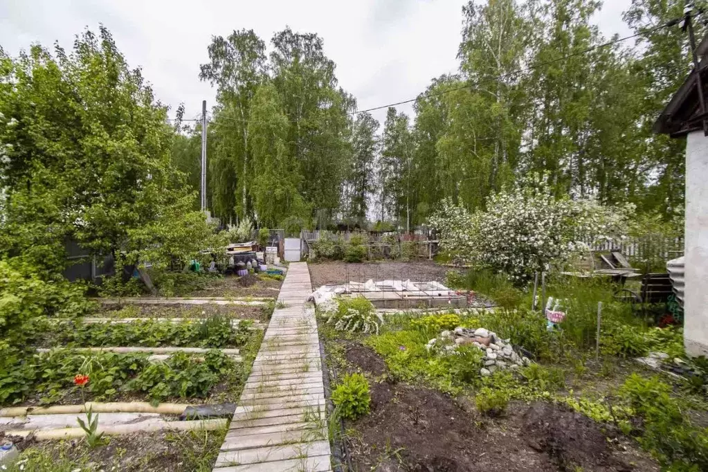Дом в Тюменская область, Тюменский муниципальный округ, Силикатчик ... - Фото 1