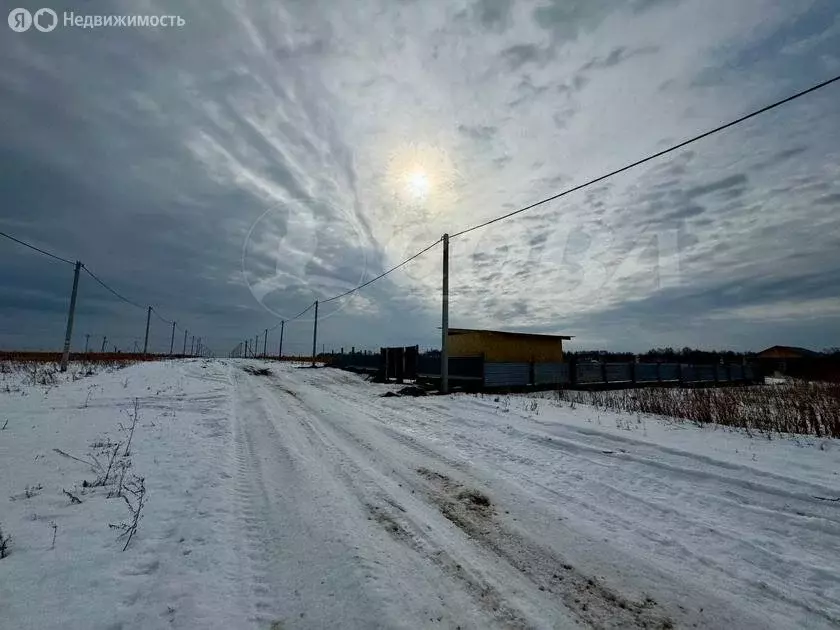 Участок в Червишевское муниципальное образование (8 м) - Фото 1