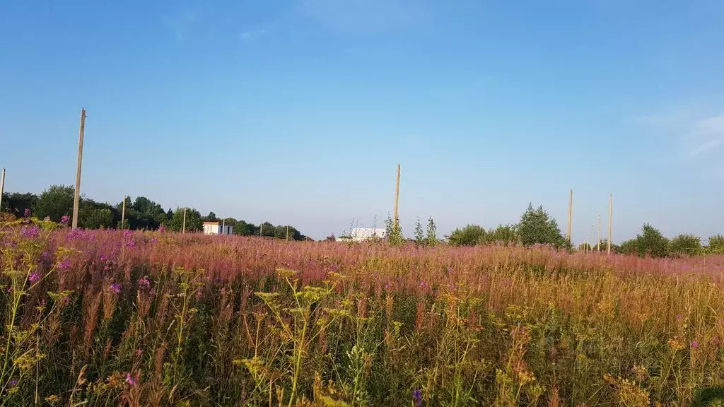 Участок в Тверская область, Молоково пгт ул. Народная, 6 (30.0 сот.) - Фото 0