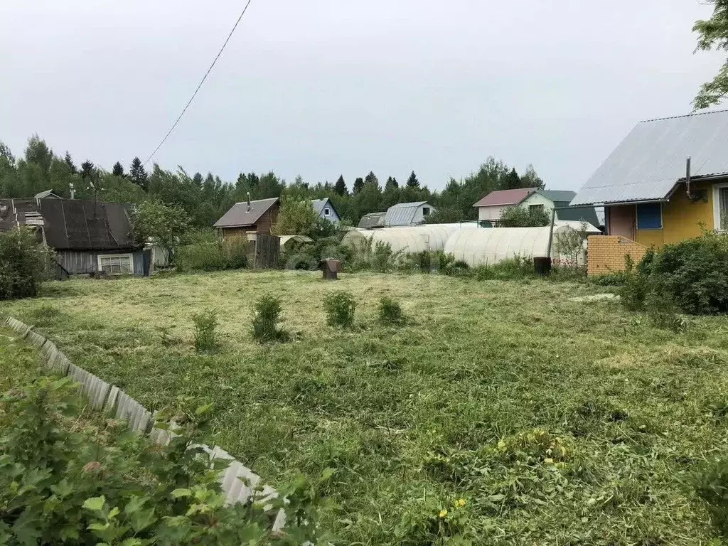 Участок в Костромская область, Костромской район, Кузьмищенское с/пос, ... - Фото 1