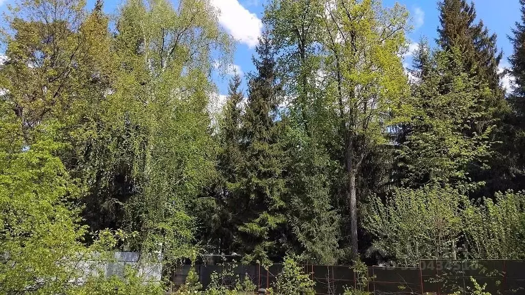 Участок в Московская область, Одинцовский городской округ, пос. ... - Фото 1