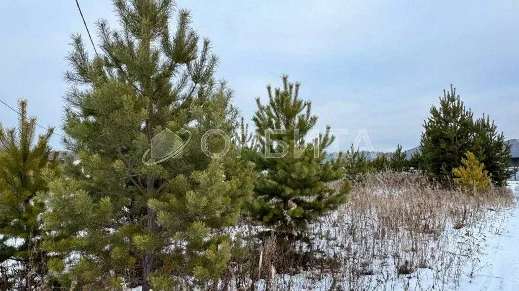 Участок в Тюменская область, Тюменский муниципальный округ, д. Елань ... - Фото 1