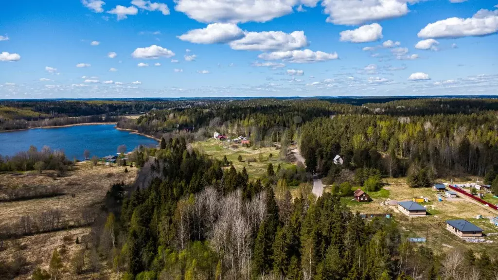 Участок в Ленинградская область, Выборгский район, Каменногорское ... - Фото 1