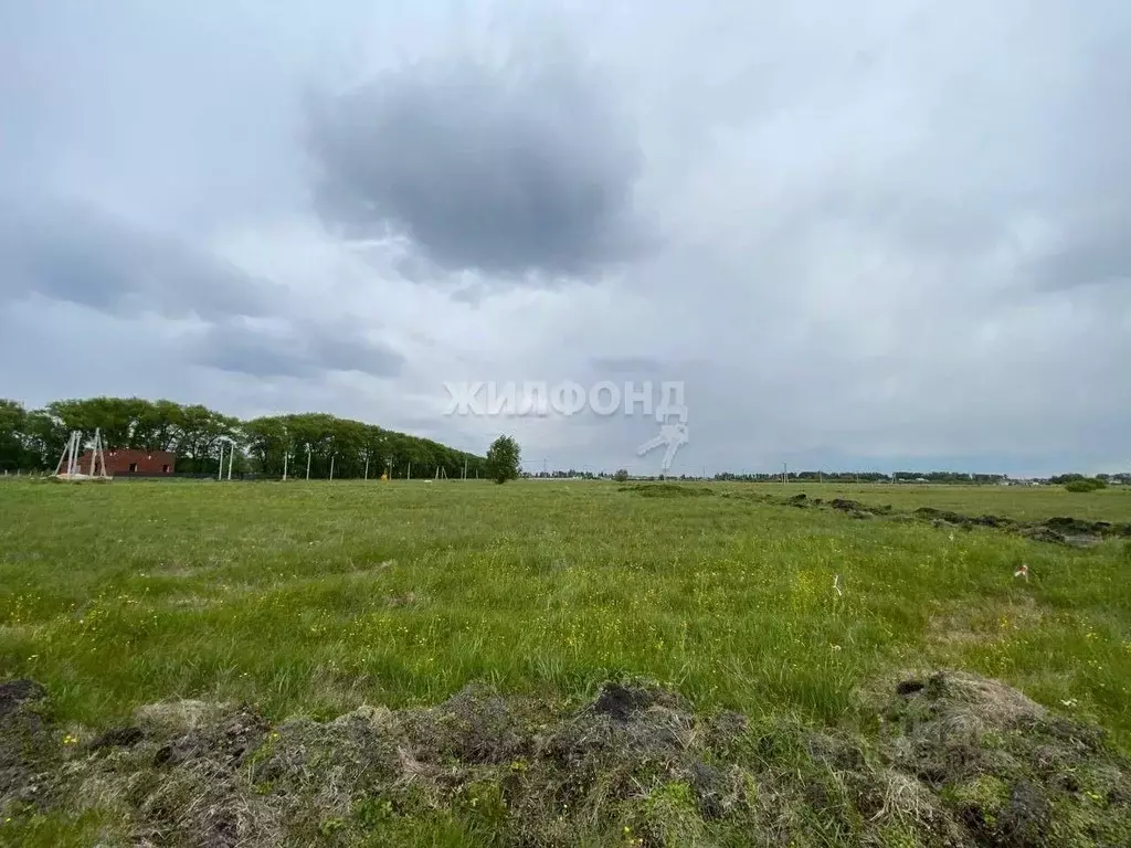 Участок в Воронежская область, Новоусманский район, Усманское 1-е ... - Фото 0