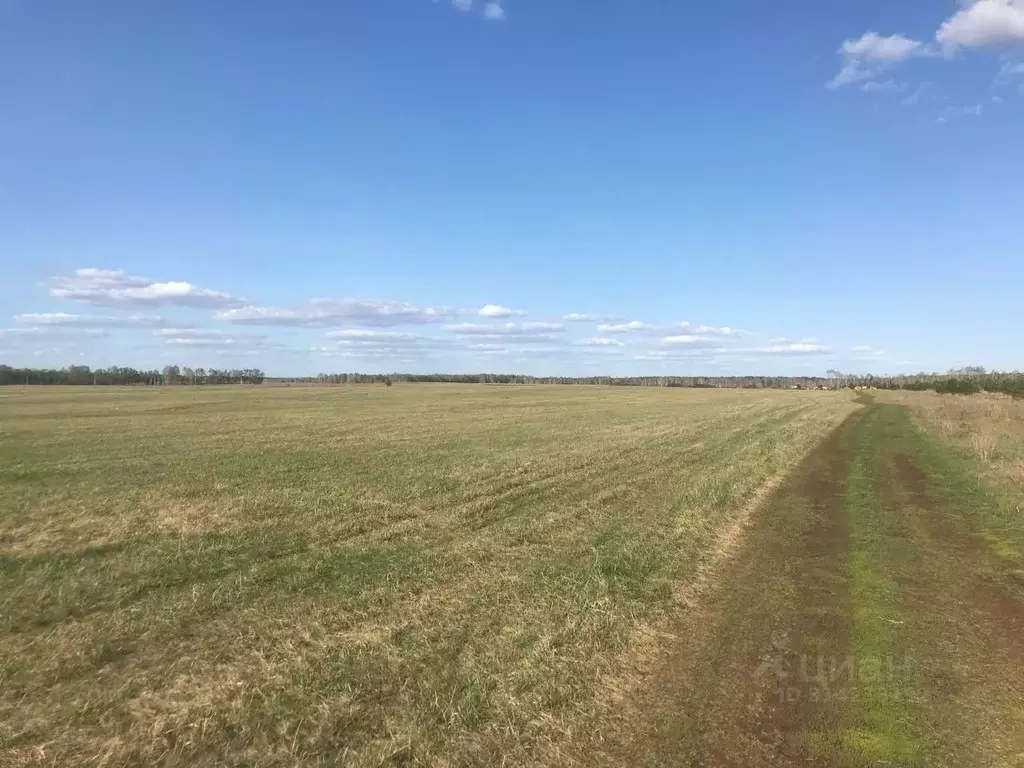 Участок в Алтайский край, Первомайский район, с. Фирсово, Рощино мкр ... - Фото 1