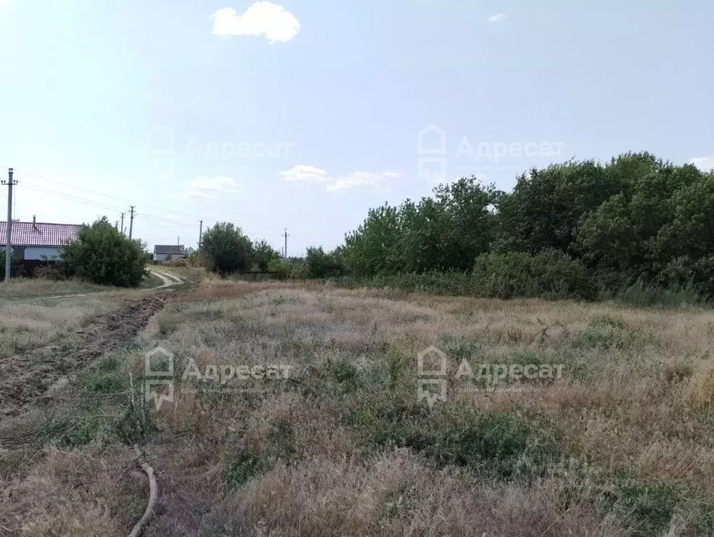 Участок в Волгоградская область, Городищенский район, Паньшинское ... - Фото 1