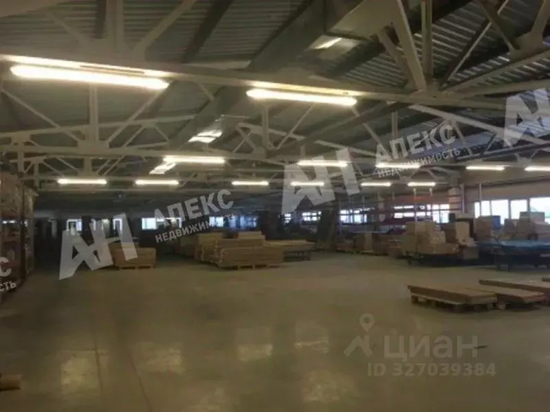 Склад в Московская область, Электроугли Богородский городской округ, ... - Фото 2