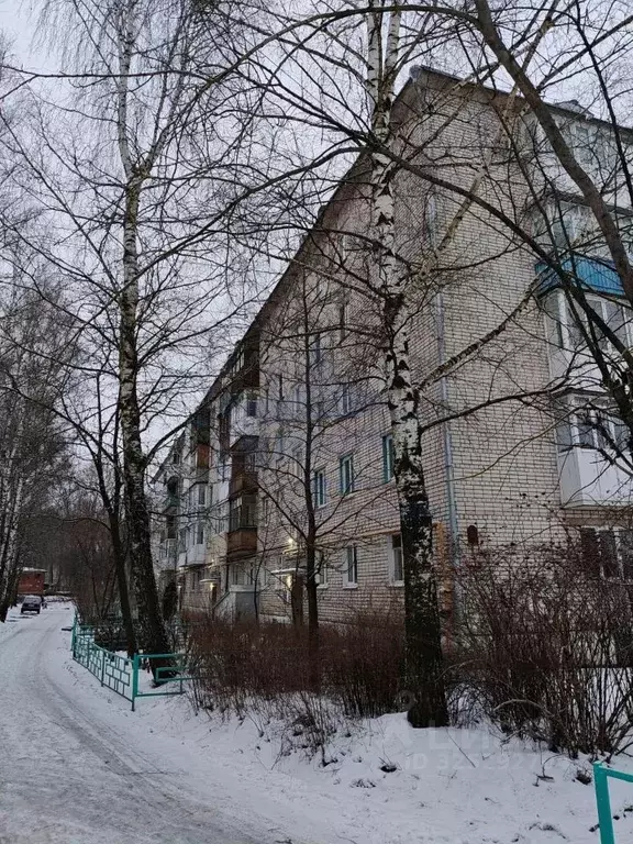 3-к кв. Нижегородская область, Богородск 2-й мкр, 16 (56.7 м) - Фото 1