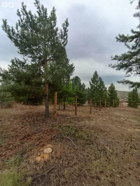 Участок в село Нижний Саянтуй, ДНТ Багульник, 2-й квартал (12 м) - Фото 1