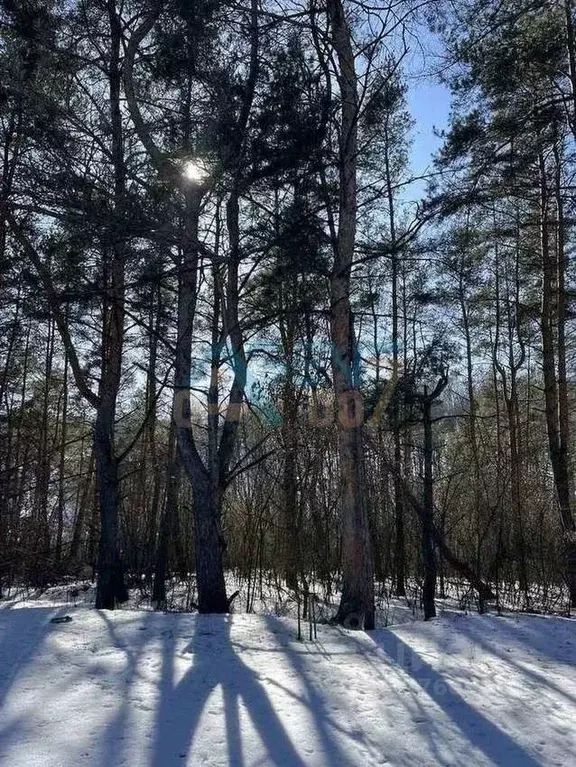 Дом в Белгородская область, Белгородский муниципальный округ, ... - Фото 1