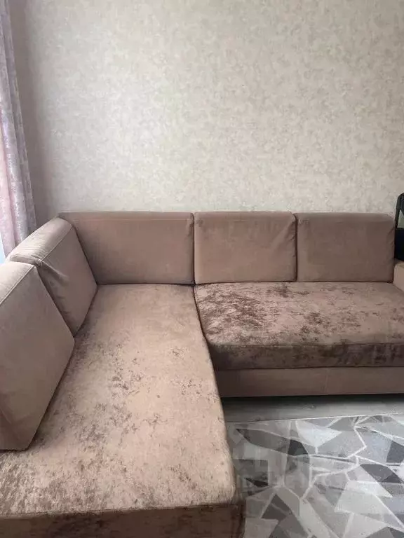 Студия Калининградская область, Светлогорск Тихая ул., 10 (24.0 м) - Фото 1