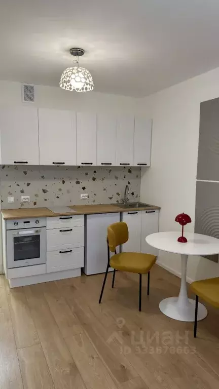 Студия Санкт-Петербург ул. Пейзажная, 24к2 (20.8 м) - Фото 2