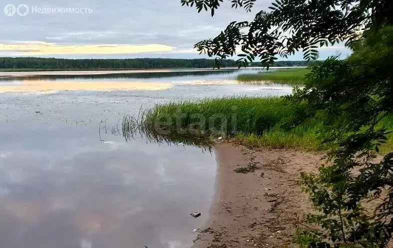 Участок в Костромской район, Чернопенское сельское поселение, село ... - Фото 1