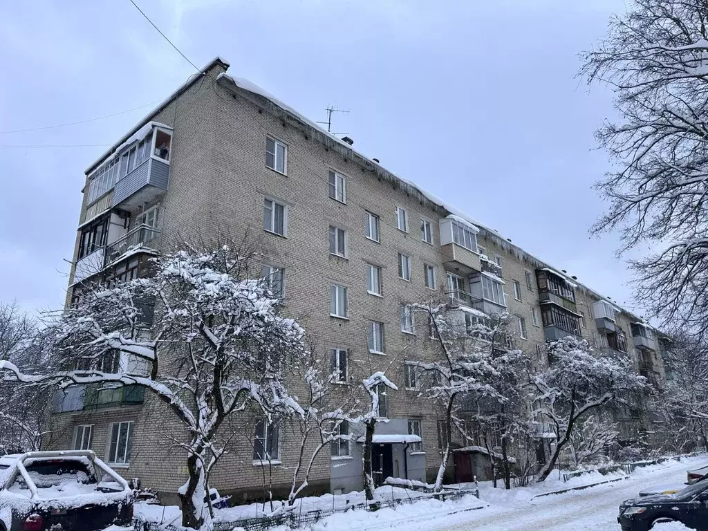 2-к кв. Московская область, Щелково городской округ, д. Оболдино ул. ... - Фото 1