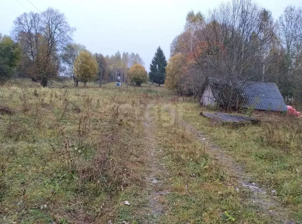 Участок в Калужская область, Бабынинский муниципальный округ, д. ... - Фото 2