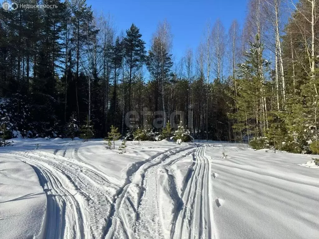 Участок в Вологодская область, Усть-Кубинский муниципальный округ, ... - Фото 1