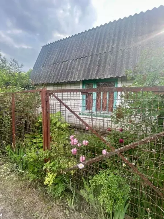 Дом в Курская область, Курск ул. Урицкого (36 м) - Фото 1