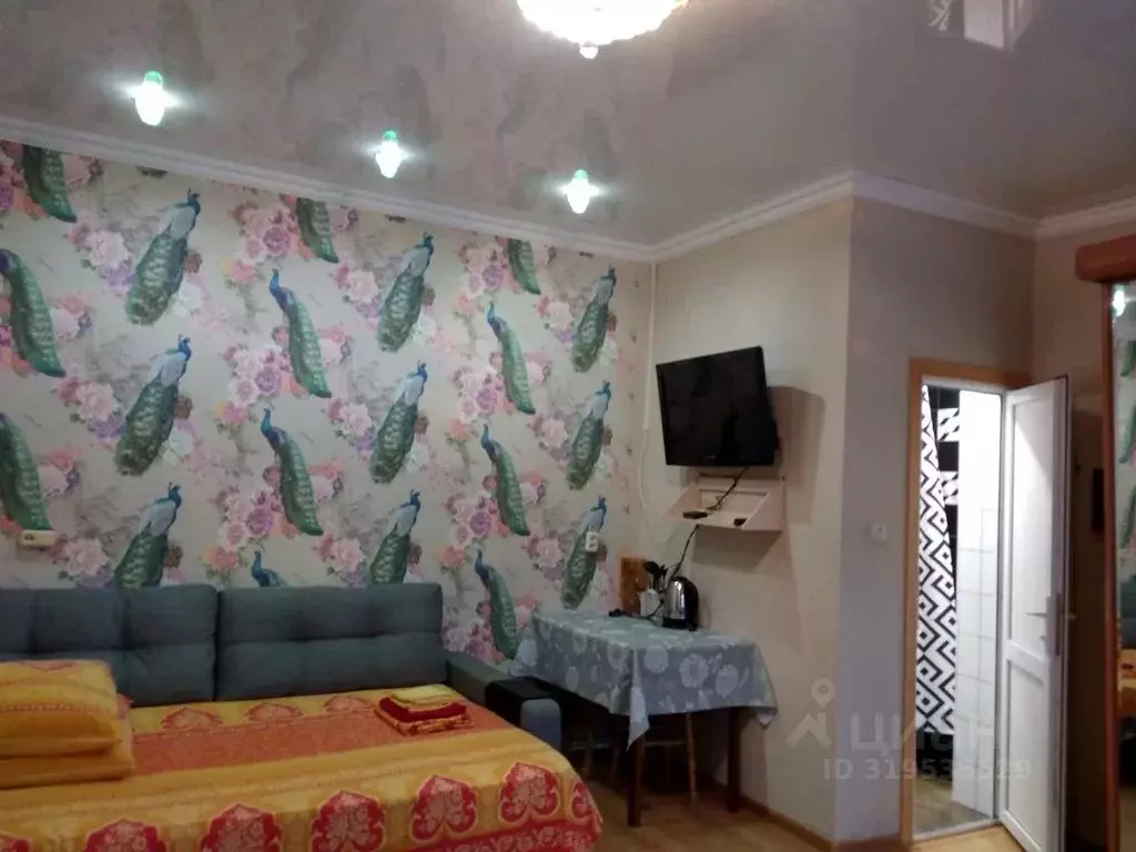 Комната Краснодарский край, Анапа Пионерский просп., 217 - Фото 1