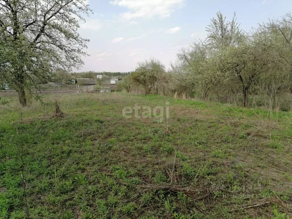 Участок в Брянская область, Брянский район, Мичуринское с/пос, ... - Фото 1