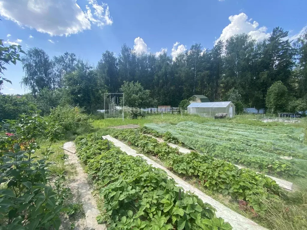 Участок в Владимирская область, Ковровский район, Клязьминское с/пос, ... - Фото 1
