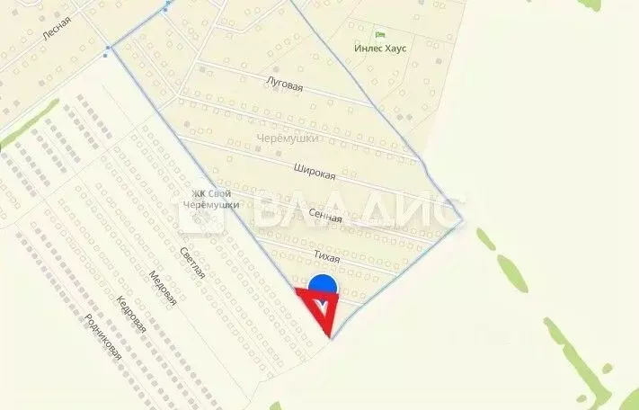 Участок в Нижегородская область, Богородский муниципальный округ, с. ... - Фото 1