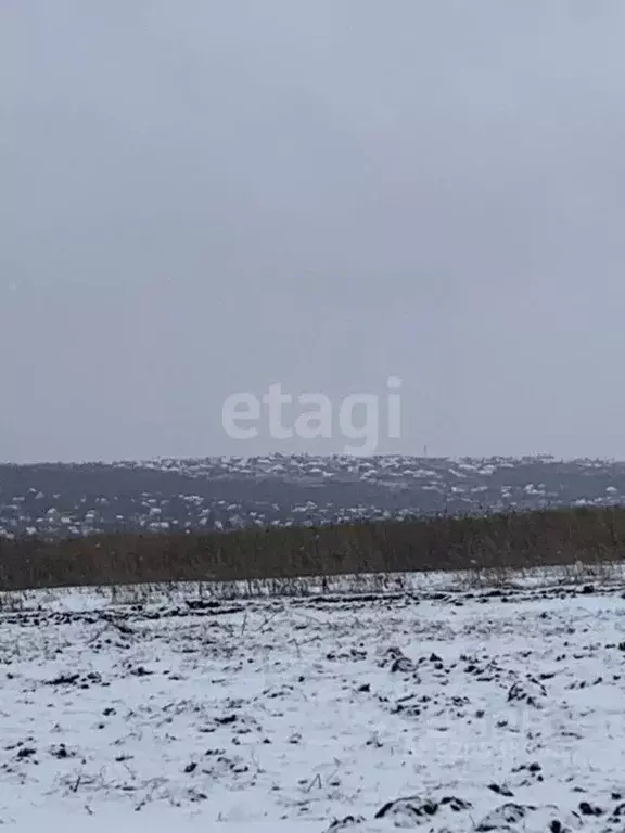 Участок в Белгородская область, Белгородский район, Головинское с/пос, ... - Фото 1