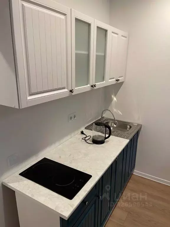 Студия Москва ул. Усадебный Парк, 7к1 (20.0 м) - Фото 2