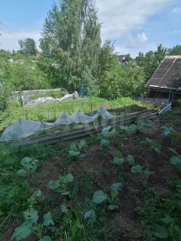 Дом 80 м на участке 11 сот. - Фото 1