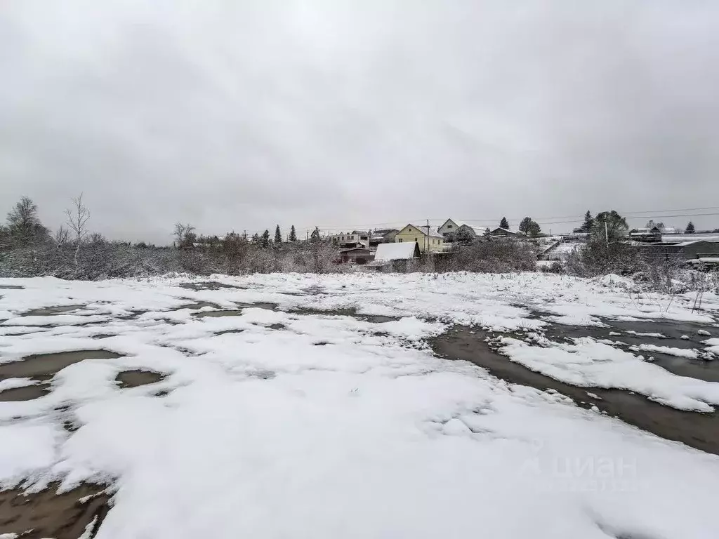 Участок в Новосибирская область, Новосибирский район, Каменский ... - Фото 1