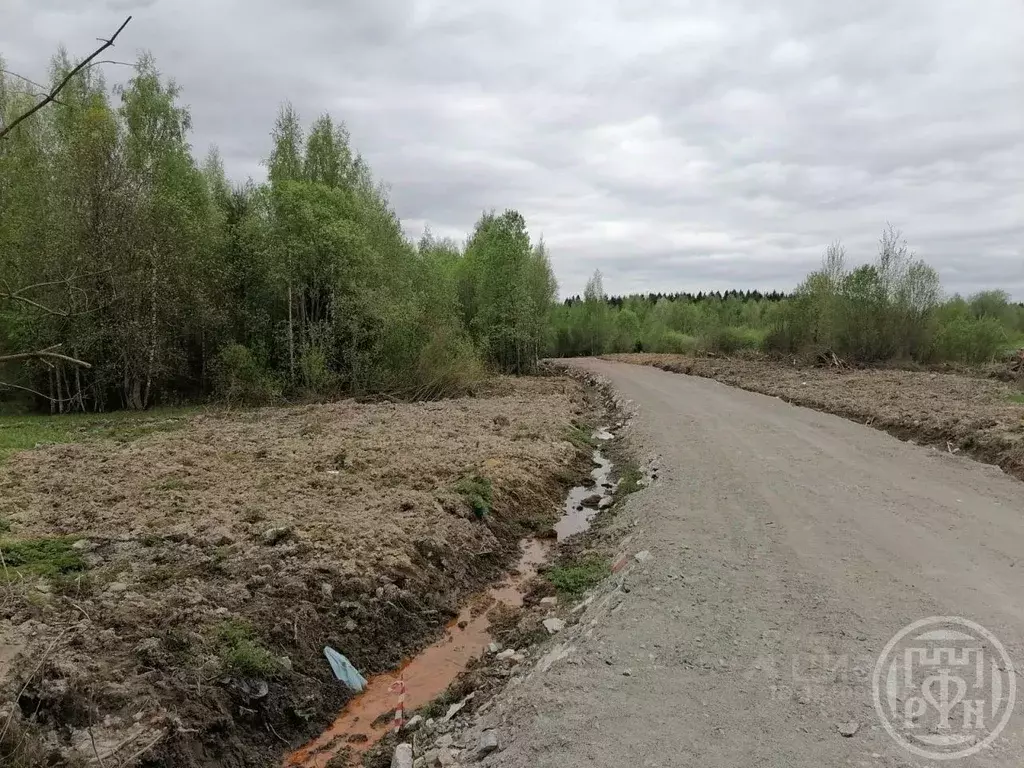 Участок в Ленинградская область, Всеволожский район, Лесколовское ... - Фото 1