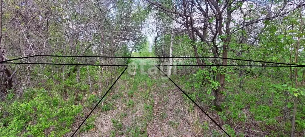 Участок в Хабаровский край, Хабаровский район, Мичуринское с/пос, ... - Фото 1