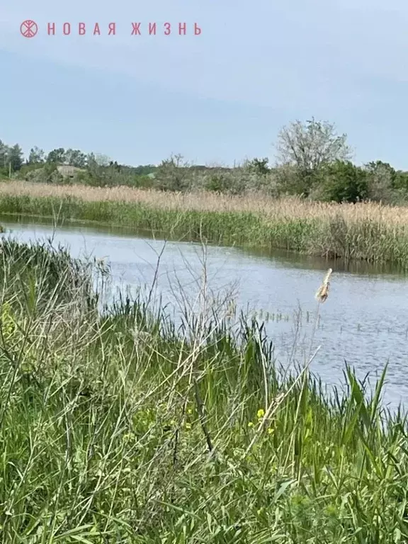 Участок в Самарская область, Кинель Радуга кп, проезд Конный (5.0 ... - Фото 1