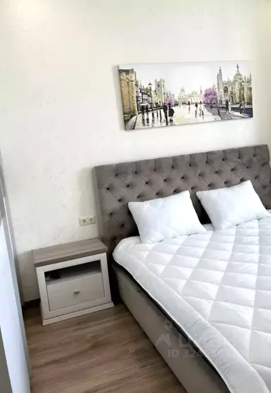 1-к кв. Калининградская область, Калининград ул. Генерала Соммера, 21 ... - Фото 2