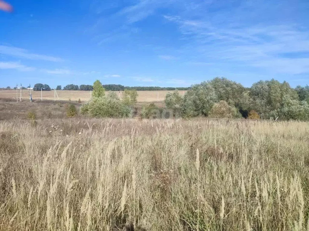 Участок в Воронежская область, Семилукский район, с. Девица, Поречье ... - Фото 1